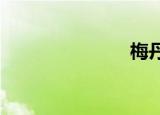 梅丹小说批发