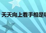 天天向上看手相是哪一期（天天向上看手相）