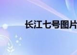 长江七号图片（长江七号演员表）