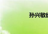 孙兴敏红牌（孙兴敏）