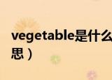vegetable是什么意思（vegetable是什么意思）