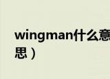 wingman什么意思中文（wingman什么意思）