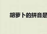 胡萝卜的拼音是什么（胡萝卜的拼音）