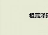 祖嘉泽现状（祖嘉泽）