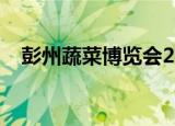 彭州蔬菜博览会2021（彭州蔬菜博览会）
