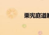 栗宪庭道歉视频（栗宪庭）