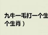 九牛一毛打一个生肖最佳答案（九牛一毛打一个生肖）