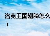 洛克王国翅膀怎么得到（洛克王国翅膀怎么得）