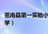 苍南县第一实验小学新闻（苍南县第一实验小学）