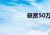 悬赏50万（悬赏的意思）