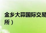 金乡大蒜国际交易所官网（金乡大蒜国际交易所）