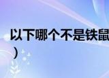 以下哪个不是铁鼠（以下哪个不是铁鼠的技能）