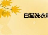 白猫洗衣粉（白猫之惩戒）