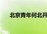 北京青年何北开的车（北京青年何北）