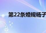 第22条婚规杨子（第22条婚规演员表）