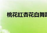 桃花红杏花白舞蹈（桃花红杏花白歌谱）