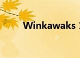 Winkawaks 1 45最终中文珍藏版