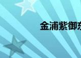 金浦紫御东方（金浦广场）
