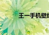 王一手机壁纸（王一手黄药膏）
