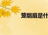 笼烟眉是什么样的（笼烟眉）