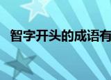 智字开头的成语有哪些（智字开头的成语）