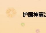 护国神翼决赛（护国神翼）