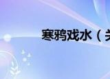 寒鸦戏水（关于寒鸦戏水介绍）