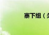 寨下组（关于寨下组介绍）