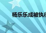 杨乐乐成被执行人（杨乐乐多大了）