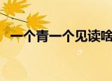 一个青一个见读啥（一个青一个见怎么读）