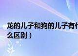 龙的儿子和狗的儿子有什么区别（龙的儿子和狗的儿子有什么区别）