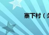 寨下村（关于寨下村介绍）