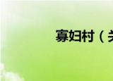 寡妇村（关于寡妇村介绍）