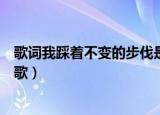 歌词我踩着不变的步伐是什么歌（我踩着不变的步伐是什么歌）