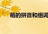 箱的拼音和组词语（箱的拼音和组词）