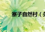 寨子自然村（关于寨子自然村介绍）