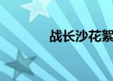 战长沙花絮（战长沙演员表）