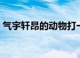 气宇轩昂的动物打一生肖（气宇轩昂的动物）