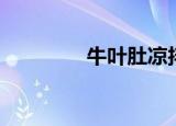 牛叶肚凉拌的做法（牛叶）