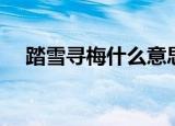 踏雪寻梅什么意思（踏雪寻梅什么意思）