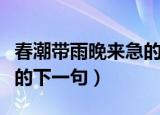 春潮带雨晚来急的意思是啥（春潮带雨晚来急的下一句）