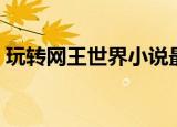 玩转网王世界小说最新章节（玩转网王世界）