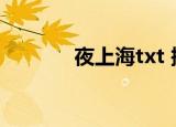 夜上海txt 搜盘（夜上海txt）