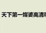 天下第一媒婆高清观看（天下第一媒婆高清）