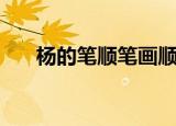 杨的笔顺笔画顺序怎么写（杨的笔顺）
