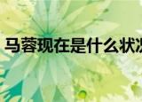 马蓉现在是什么状况微博（马蓉称微博被盗）
