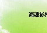 海魂衫搭配（海魂曲）
