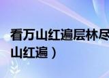 看万山红遍层林尽染漫江碧透百舸争流（看万山红遍）