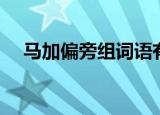 马加偏旁组词语有哪些（马加偏旁组词）
