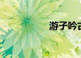 游子吟古诗（游购宝）